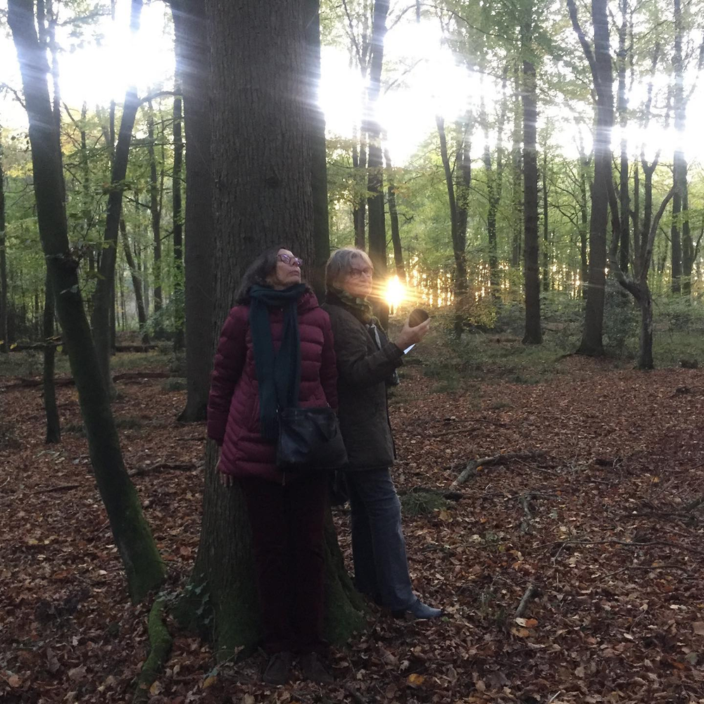 Music for Trees - Kunsthalle Wilhelmshaven 