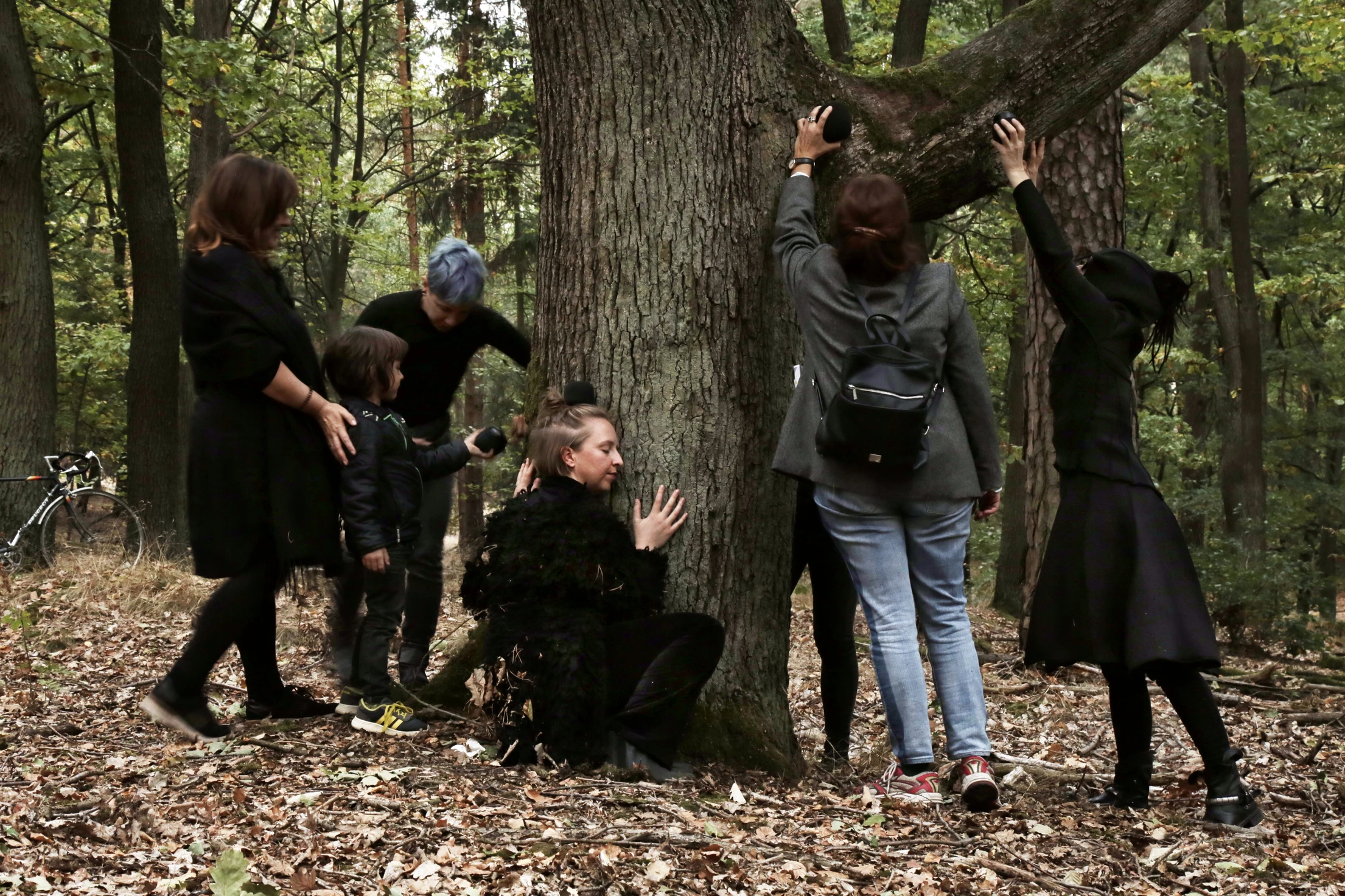 Music for Trees – Berlin